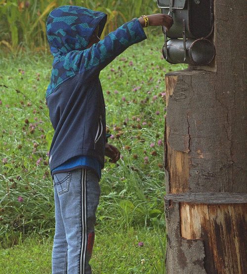 child, students, rural